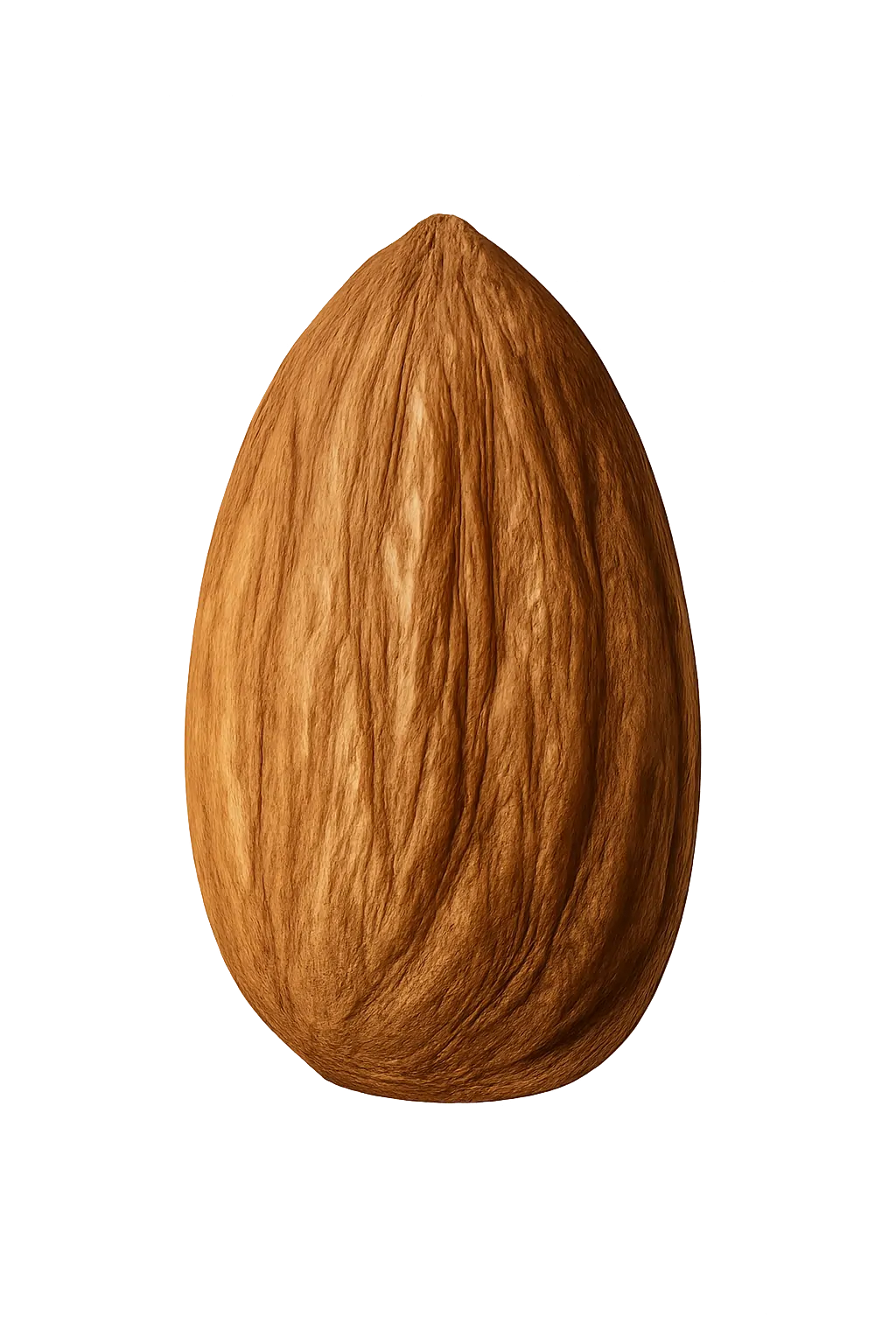 ALMONDS - Premium Natural Ingredient in Nut Rush Bar