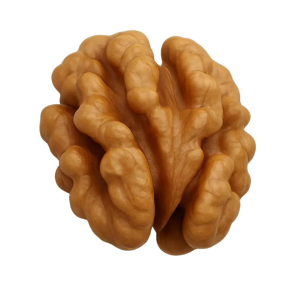 WALNUTS - Premium Natural Ingredient in Nut Rush Bar