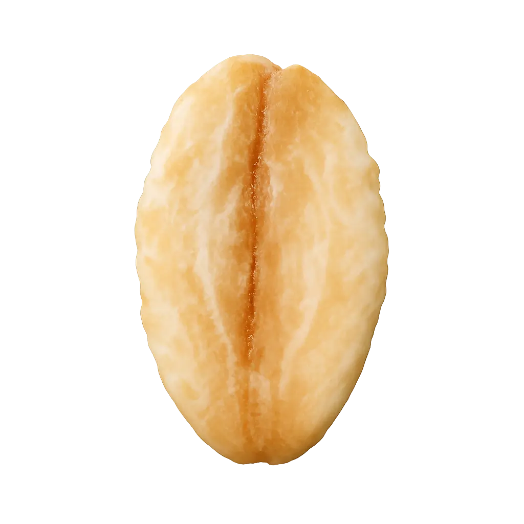 OATS - Premium Natural Ingredient in Nut Rush Bar